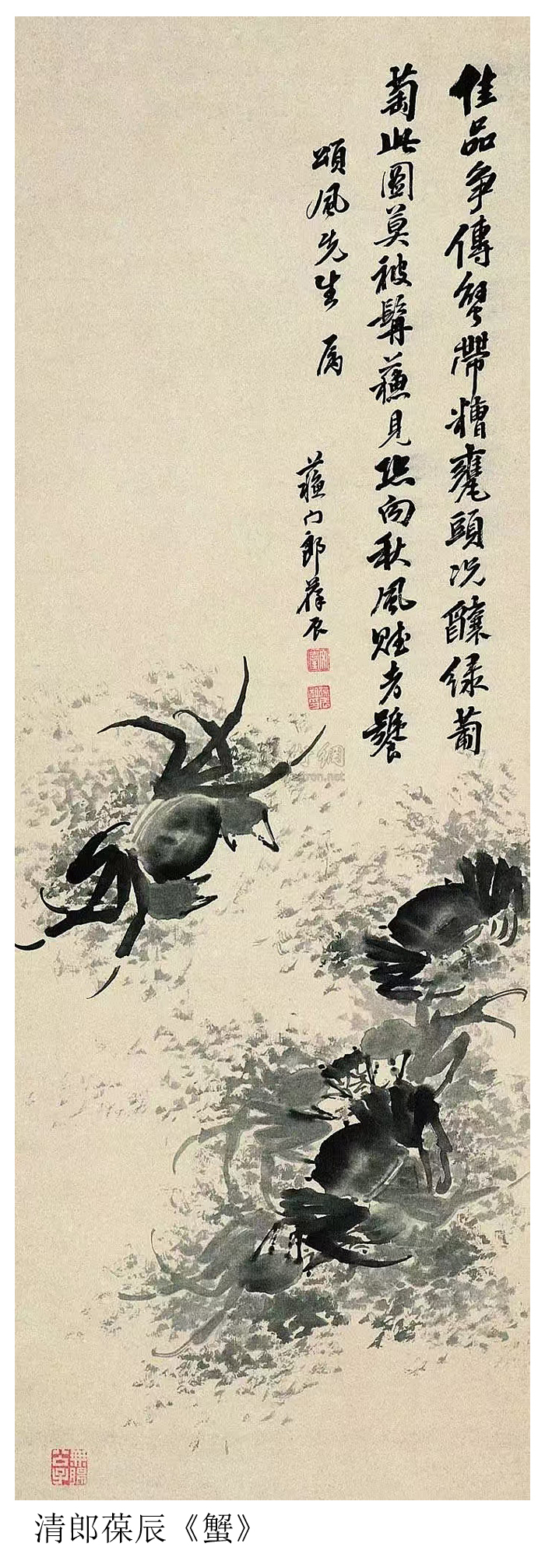 著名画家杨林:从邂逅小螃蟹到螃蟹趣画