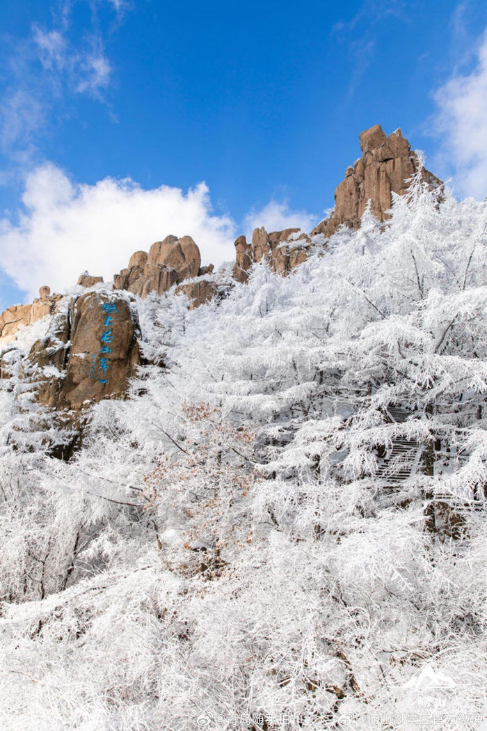一下雪崂山就成了冰雪仙境雪后初霁雾凇奇观