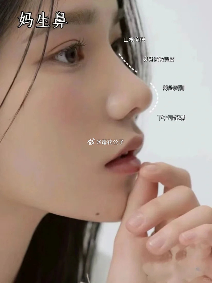 六种鼻型你喜欢哪一款