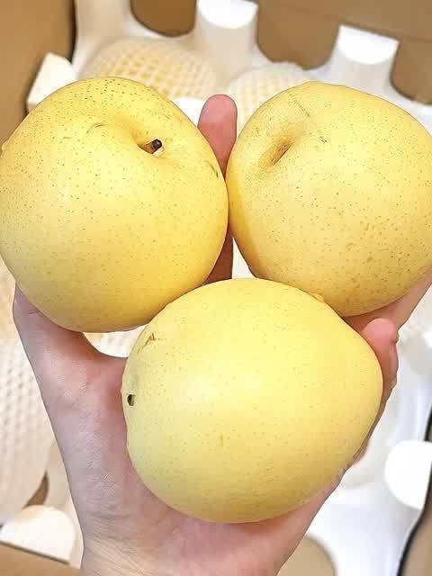 河北石家庄皇冠梨应季水果5斤109入