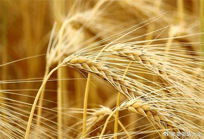 gets和getchar的区别 C语言中函数的作用是什么