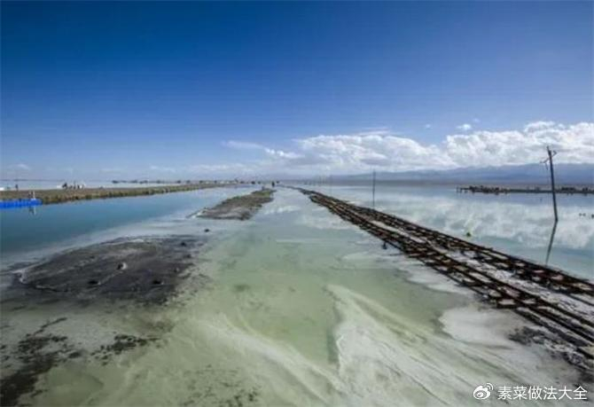 青海湖盐能吃吗?青海湖的盐好不好?|青海湖|矿物质|盐中