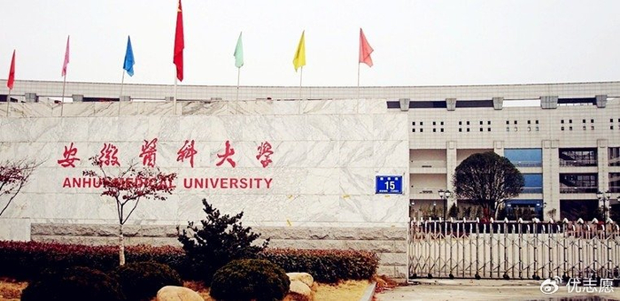 安徽医科大学在医学领域有突出优势,就业对口率也很高