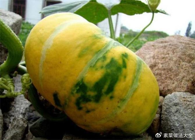 北瓜是什么瓜？除了冬瓜西瓜南瓜，这世上还真有北瓜|植物|品种|故事|形状|三角形_新浪新闻