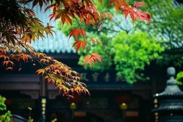 灵隐寺 | 清晨入古寺，初日照高林