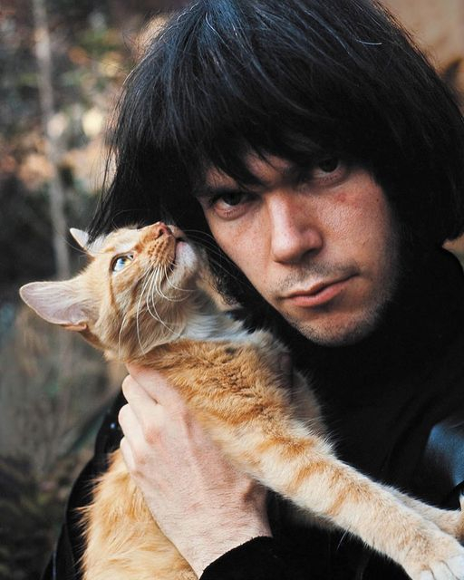 今天是摇滚老将neilyoung的78岁生日