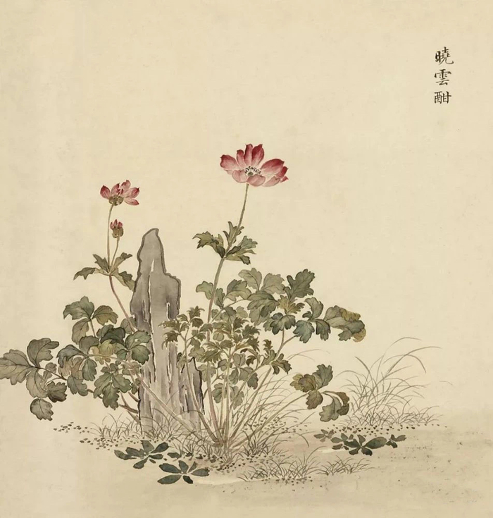 清·余省 海西集卉册 欣赏《海西集卉》册是余省在乾隆二十二年(1757|海西集卉|乾隆|周鲲