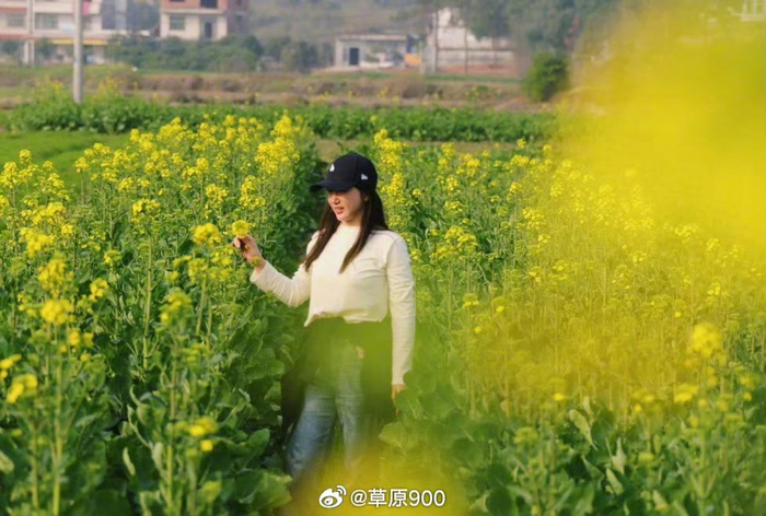 万物复苏的季节每年二三月伊始至七八月全国各地桃红李艳