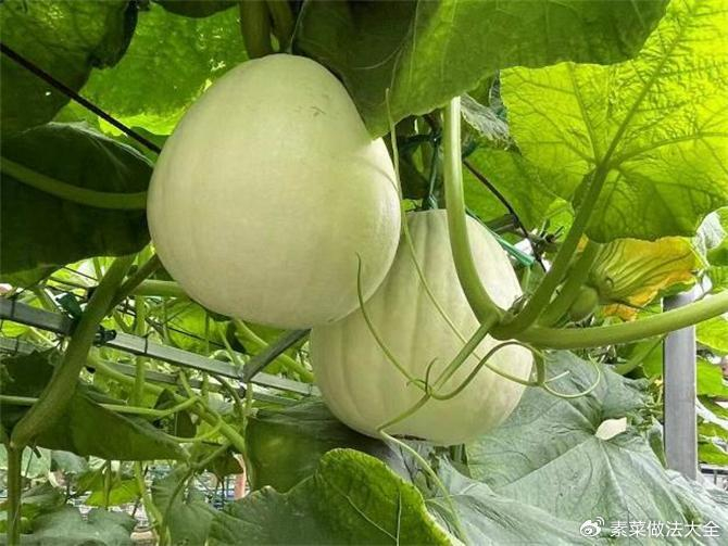 北瓜是什么瓜？除了冬瓜西瓜南瓜，这世上还真有北瓜|植物|品种|故事|形状|三角形_新浪新闻
