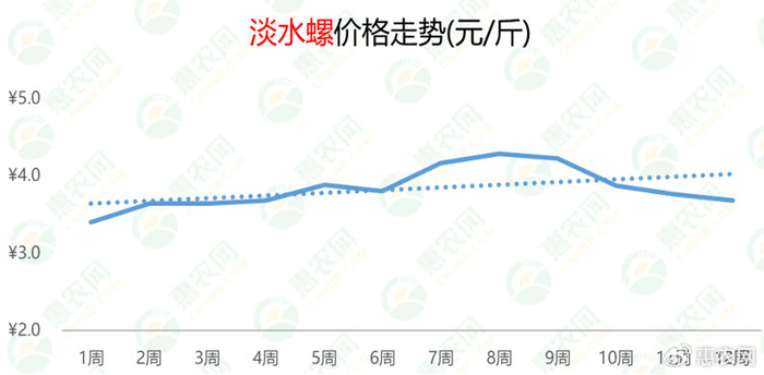 橘子批发价格最新行情