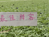 评分机构第12轮最佳阵容 申花没一名球员入选 北京国安张玉宁入围