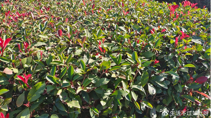 60岁后想过好日子，有三个地方千万要避开，去了准后悔