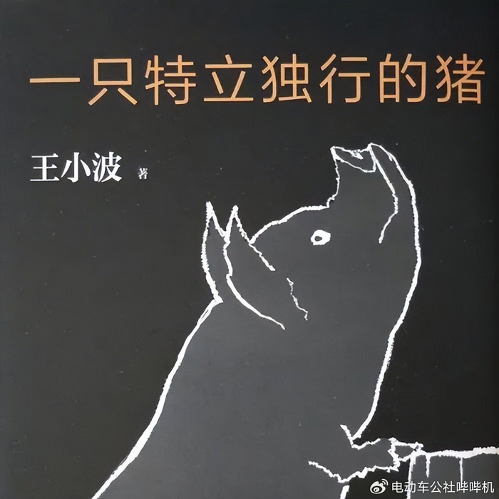 车主不散,高合不死|丁磊|车主|车圈_新浪新闻