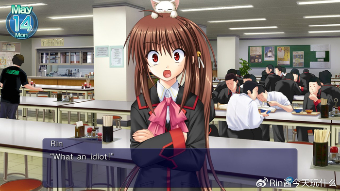 点亮明日的,不止有星辰|西园|小毬|库特_新浪新闻