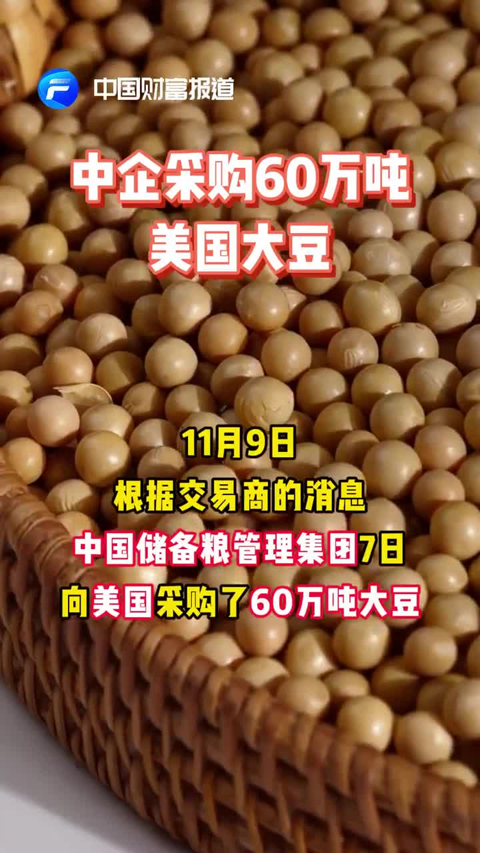 中国财富报道中企采购60万吨美国大豆