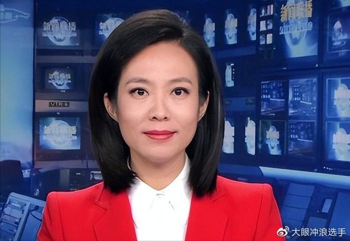 央视主播宝晓峰简历图片