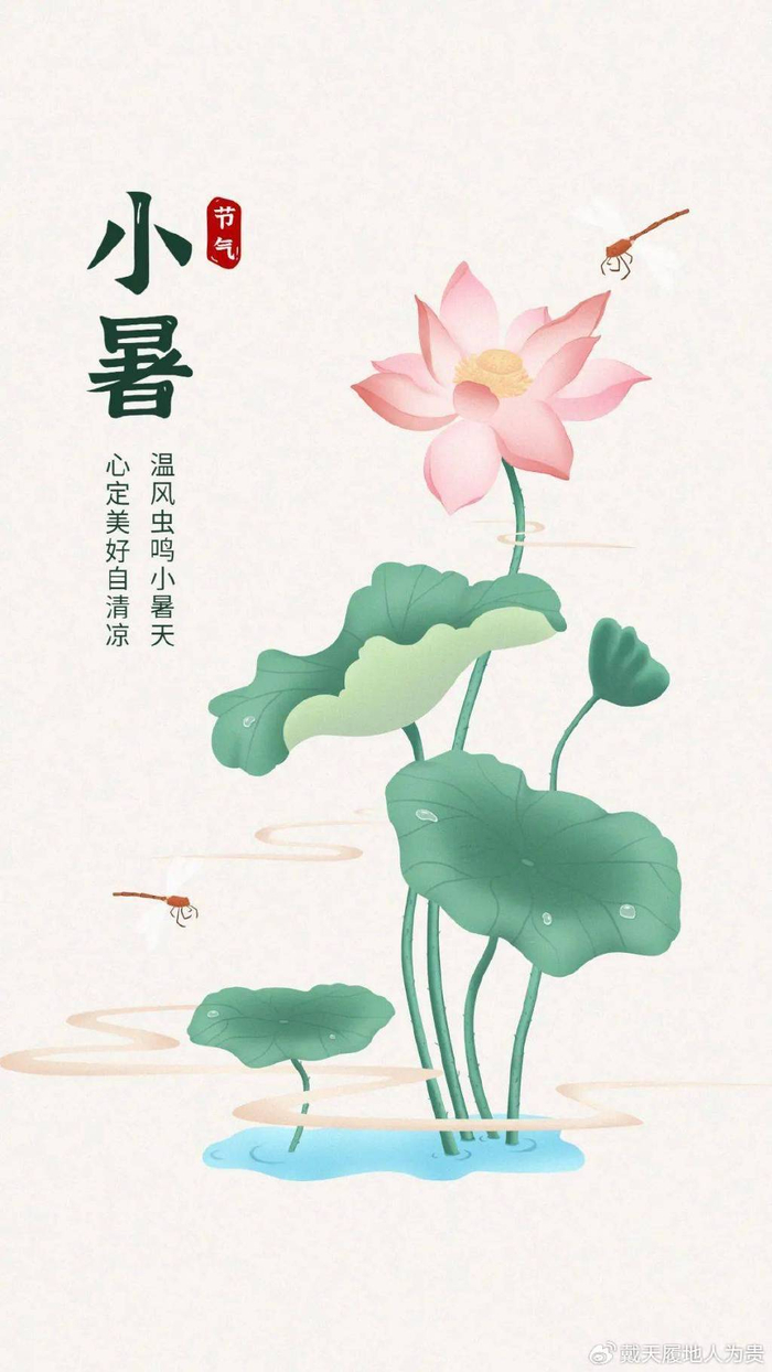 2025年小暑后生肖运势(2025年运势12生肖运势如何)