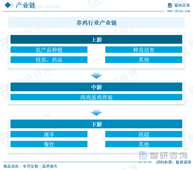 2024年白羽鸡行业发展趋势预测:乘景气上行之势,白鸡风起再远征|疫情|市场竞争|白羽鸡_新浪新闻