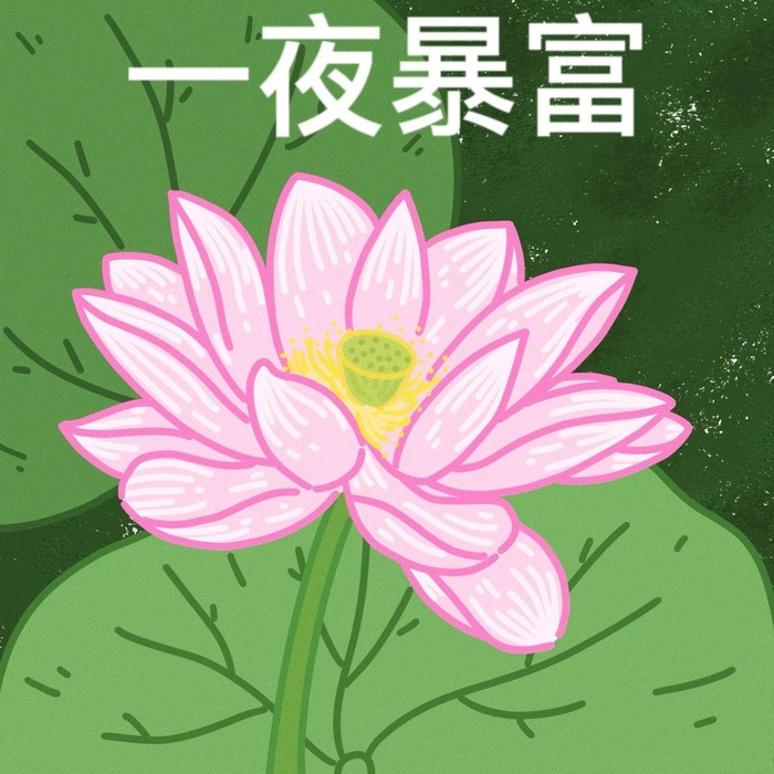 接下来你一切都会顺顺利利的 ⭐️ྀི__财经头条__新浪财经