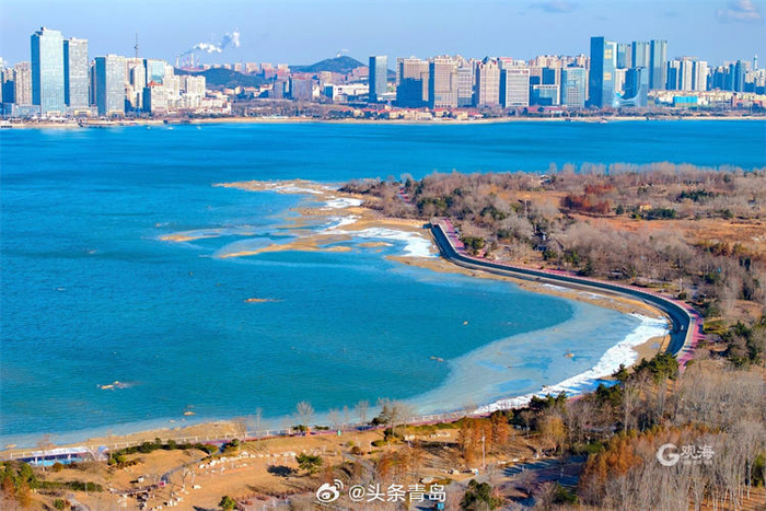 1/ 6近日,青岛西海岸新区唐岛湾湿地公园在寒冬里绽放着怡人的美丽.
