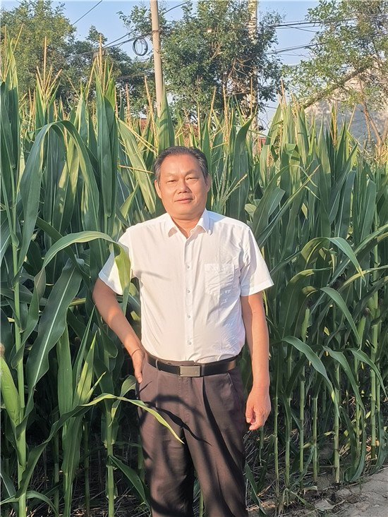 三木秉凤诗文选:芙蓉江上娇,夜香云外飘