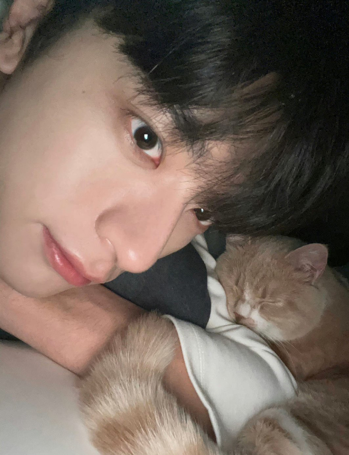 感觉林一可以开个自拍课了