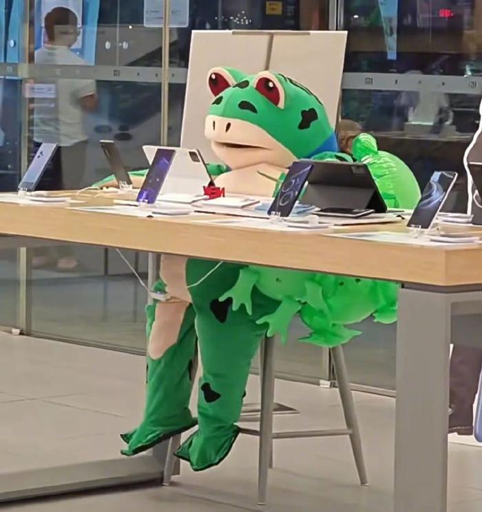 青蛙敲键盘表情包图片