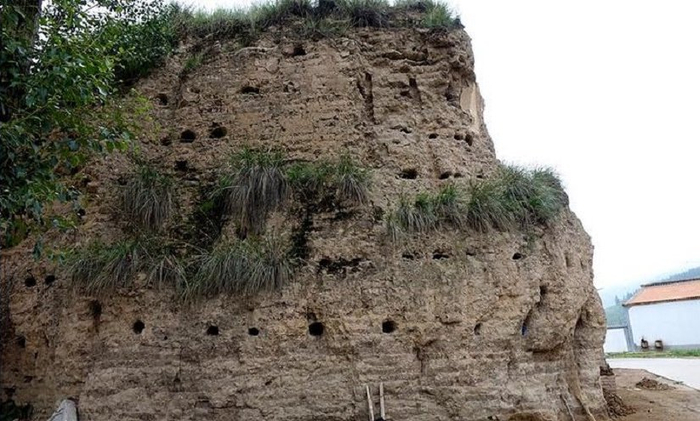 姓完颜的北方新玩家