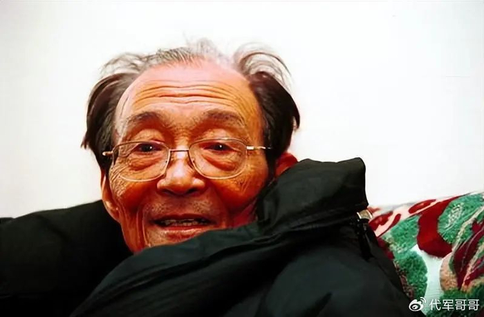 二婚娶小30岁娇妻,去世后子女与继母对簿公堂|李波|渡江侦察记|子女