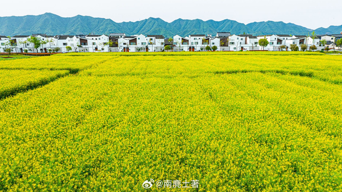 汤口镇连接富阳和桐庐两县是富春江进入富阳的第一站或许