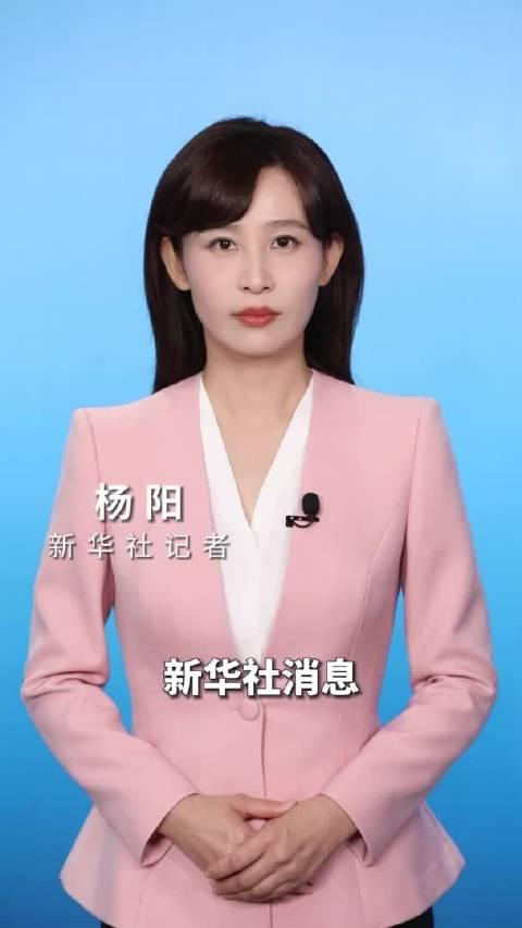 杨阳央视记者图片