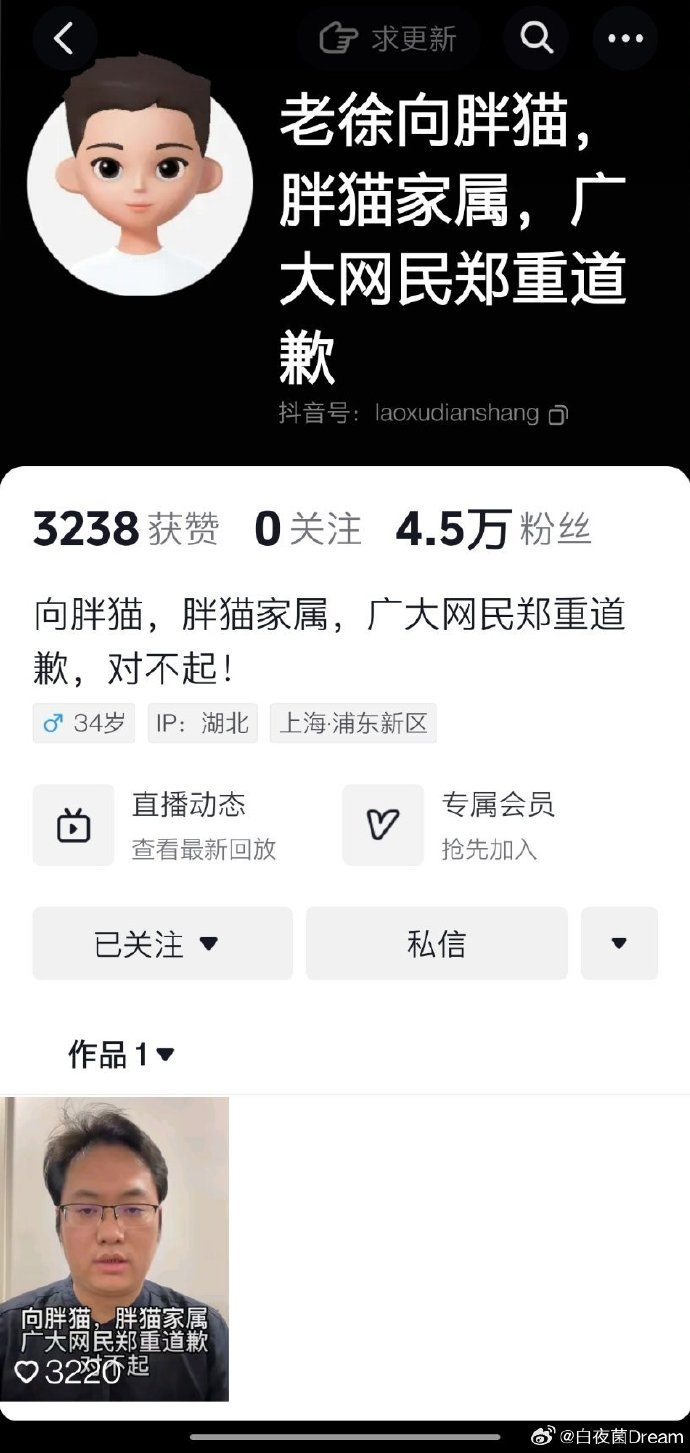 处理那些造谣胖猫没死的博主,这些人现已被封|虎牙|猫|造谣_新浪新闻