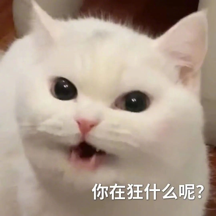 沙雕表情包来助兴!