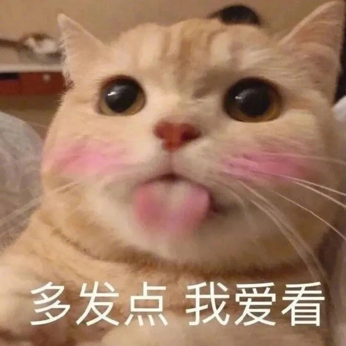 笑到模糊!精选互联网上最‘沙雕’、最可爱的搞笑表情包 拿图请顺便吱一声