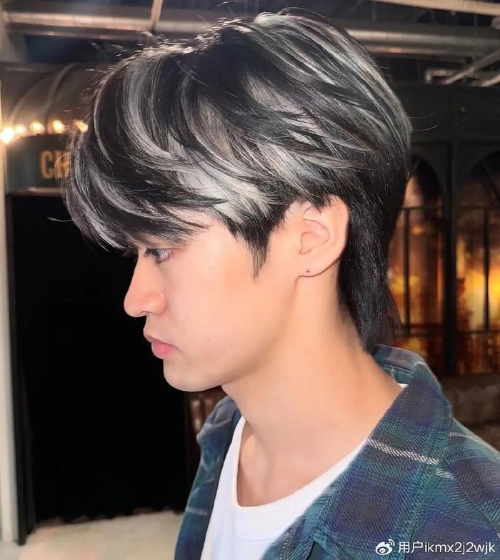 时尚新宠,18 到 30 岁男士的微中分狼尾鲻鱼头,露耳效果帅炸天