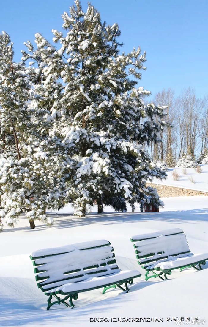 哈尔滨,用一场盛大的雪迎接冬天|哈尔滨|大雪|下雪_新浪新闻