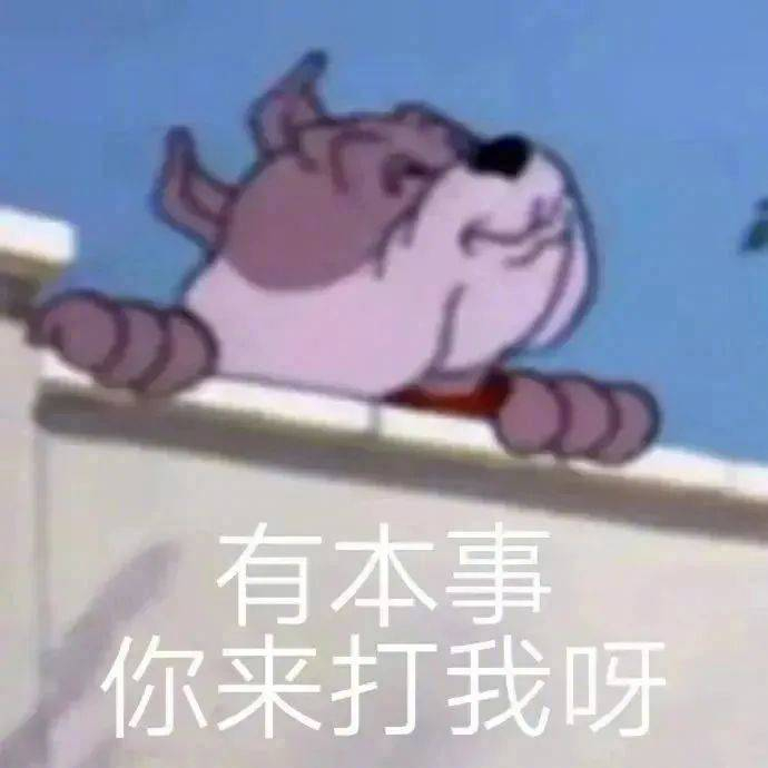 表情包 | 有本事 你来打我呀 拿图点赞、吱声