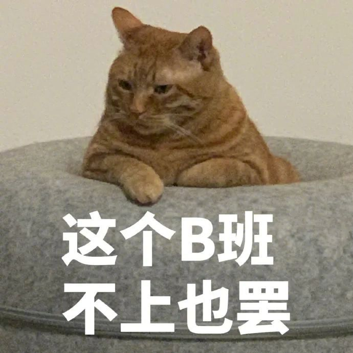 阴阳怪气的表情包大全 拿图请顺便吱一声 很难有动力发图了
