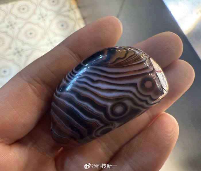 兄弟们，说来你们不信，这是块真石头，只要50元，我是不是捡到漏了