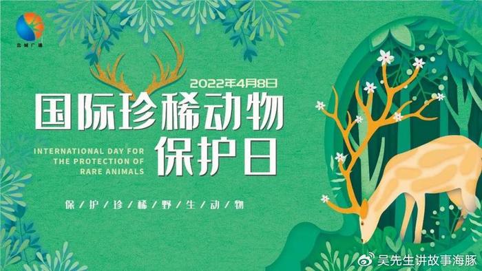 呼籲共同關注珍稀動物保護日