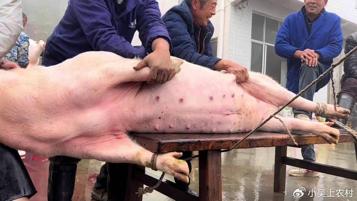 为何农村专业杀猪的屠夫，他们的寿命一般都不高，5个现实原因|健康|猪肉|赶集|卖猪肉|棚屋_新浪新闻