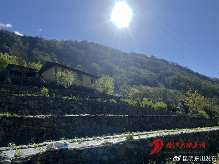 贡山县普拉底乡补久娃村:"小菜园"里忙出幸福新生活