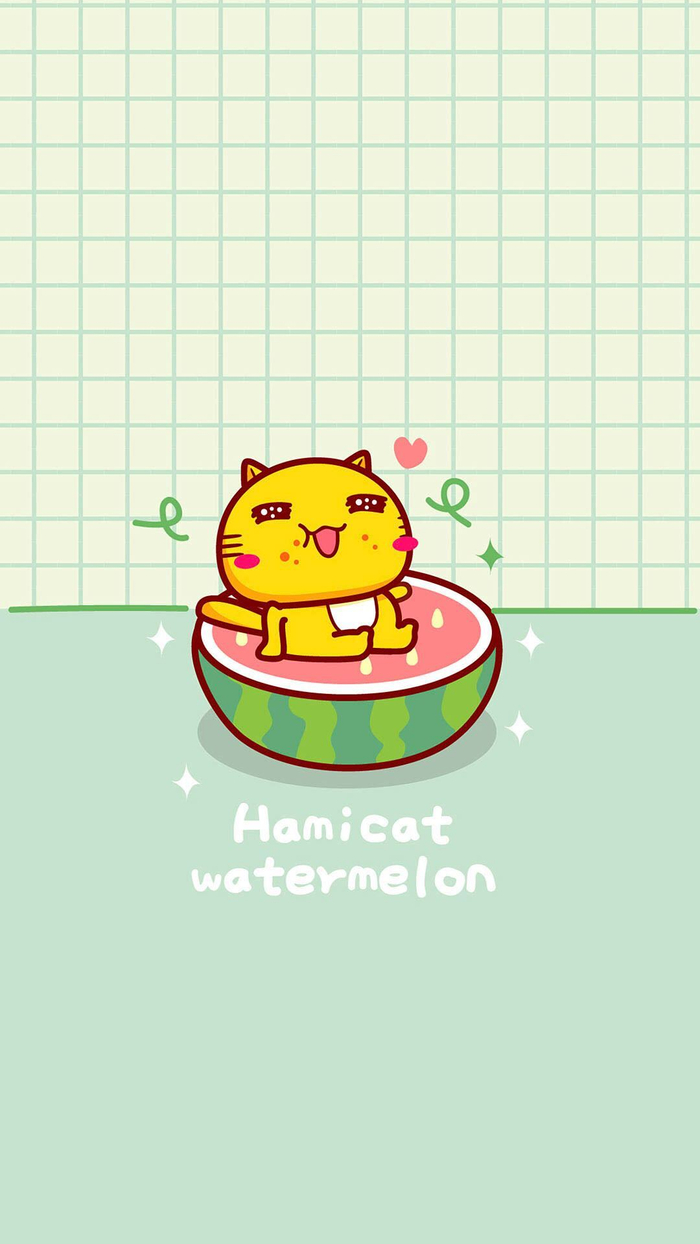 hamicat哈迷猫手机壁纸保持着积极向上的猫生态度找到目标