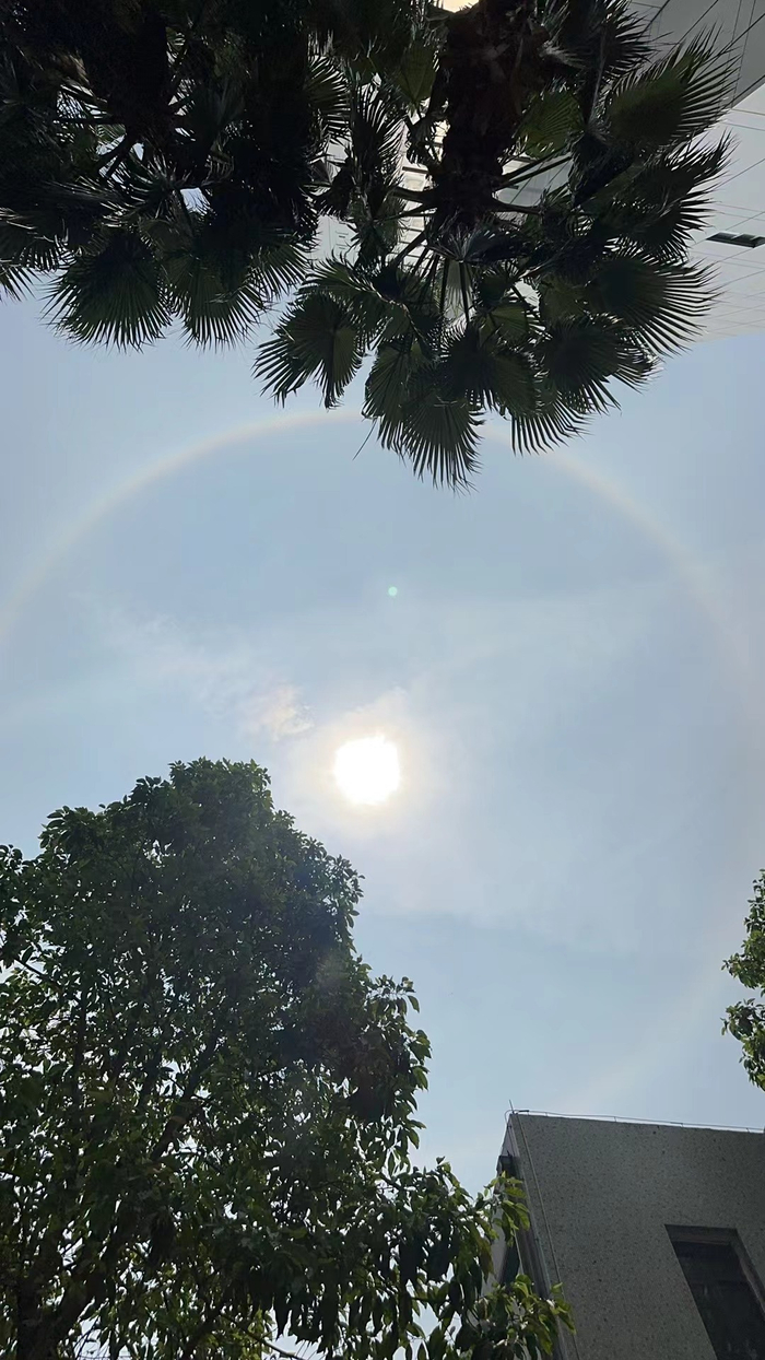 广州出现日晕你看到了吗