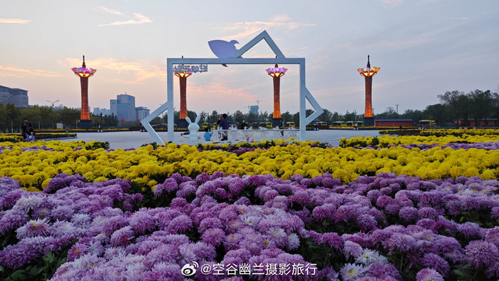 开封第41届菊花展真美,多品种,多造型美不胜收!