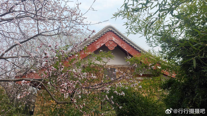 北京紫竹院公园的春天来了摄影