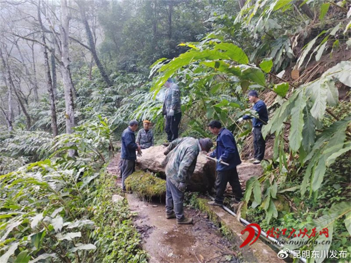 贡山县普拉底乡补久娃村:"小菜园"里忙出幸福新生活