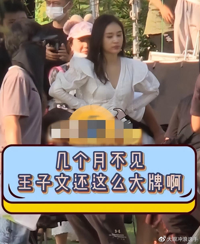 王子文