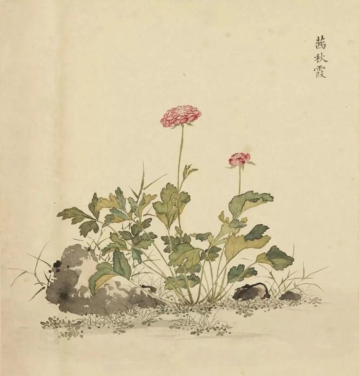 清·余省 海西集卉册 欣赏《海西集卉》册是余省在乾隆二十二年(1757