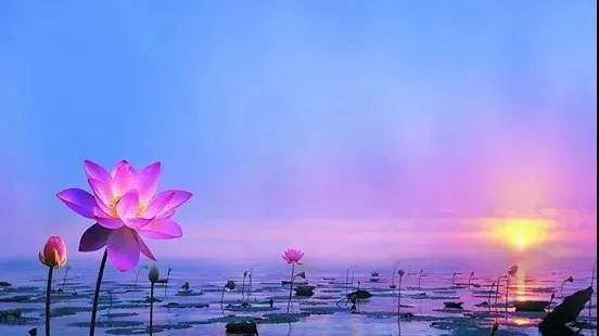 2025年5月 | 十二生肖月运